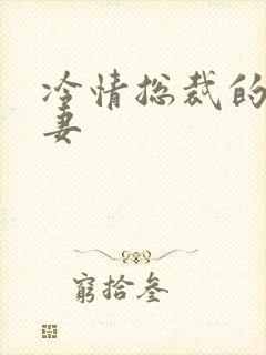 冷情总裁的出逃妻