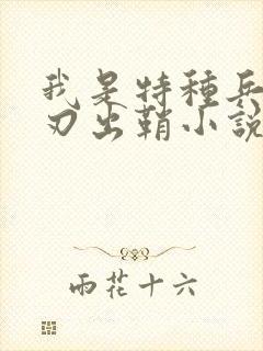 我是特种兵之利刃出鞘小说