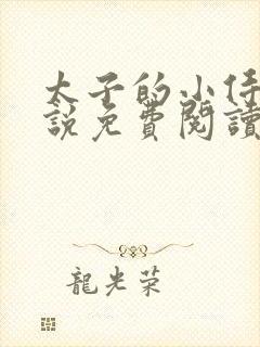 太子的小侍妾小说免费阅读全文