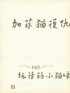 加菲猫复仇记