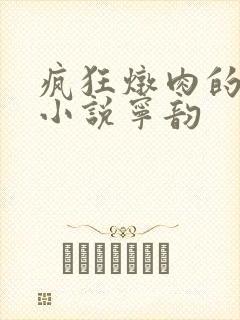 疯狂炖肉的全部小说宁韵