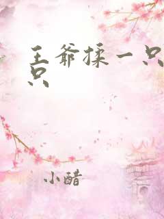 王爷揉一只舔一只