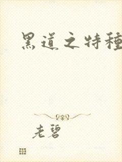 黑道之特种兵王