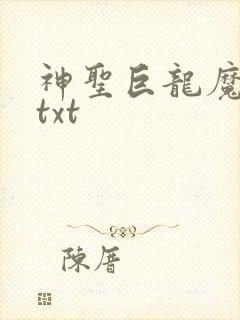 神圣巨龙魔法师txt