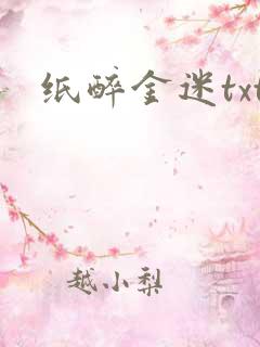 纸醉金迷txt