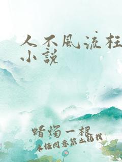 人不风流枉少年小说