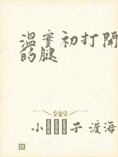 温实初打开眉庄的腿