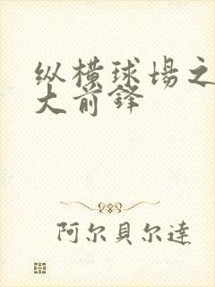 纵横球场之暴力大前锋