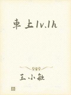 车上1v.1h