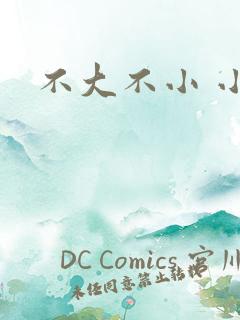 不大不小 小说
