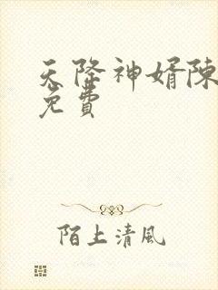 天降神婿陈黄皮免费