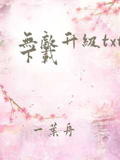 无敌升级txt下载