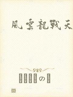 风云龙战天下