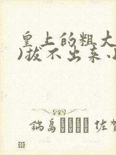 皇上的粗大(h)拔不出来小说