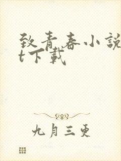 致青春小说txt下载