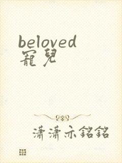 beloved宠儿