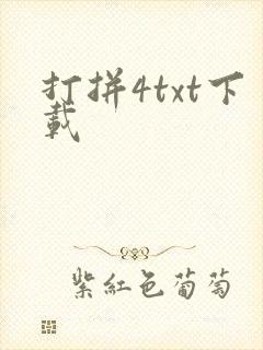 打拼4txt下载