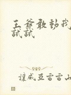 王爷敢动我妈咪试试