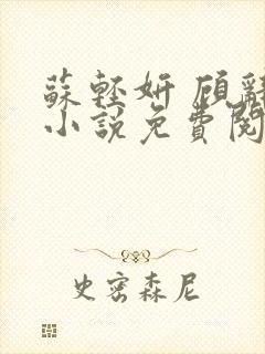 苏轻妍 顾辞笙小说免费阅读