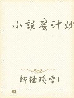 小说蜜汁炒鱿鱼