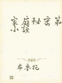 家庭秘密第3集小说