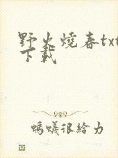 野火烧春txt下载