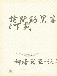 指间的黑客txt下载