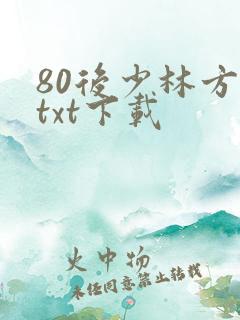 80后少林方丈txt下载