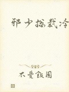 邪少总裁冷心秘