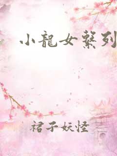 小龙女系列小说