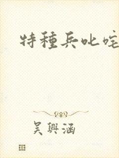 特种兵叱咤异界