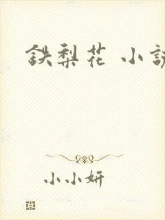 铁梨花 小说