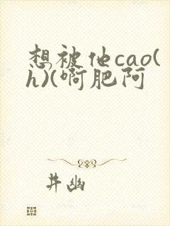 想被他cao(h)(啊肥阿