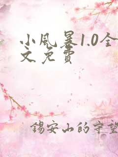 小风暴1.0全文免费
