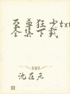 至尊狂少txt全集下载