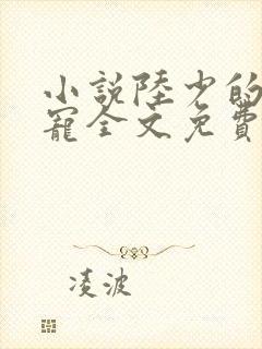 小说陆少的心尖宠全文免费阅读