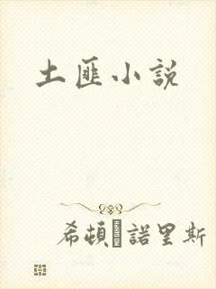 土匪小说
