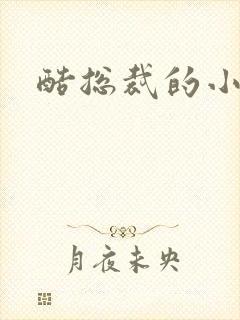 酷总裁的小女佣