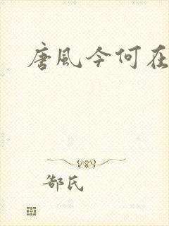 唐风今何在