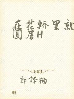 在花轿里就开始圆房H