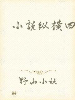 小说纵横四海