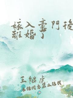 嫁入豪门后我又离婚了