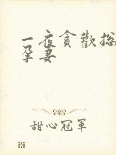 一夜贪欢总裁幸孕妻