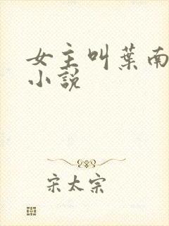 女主叫叶南初的小说