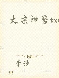大宋神医txt