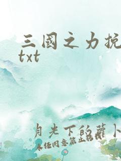 三国之力挽狂澜txt