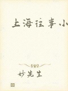 上海往事小说
