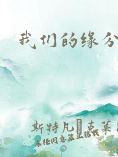 我们的缘分小说