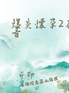 爆炎怀孕2在线看