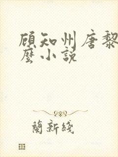 顾知州唐黎叫什么小说